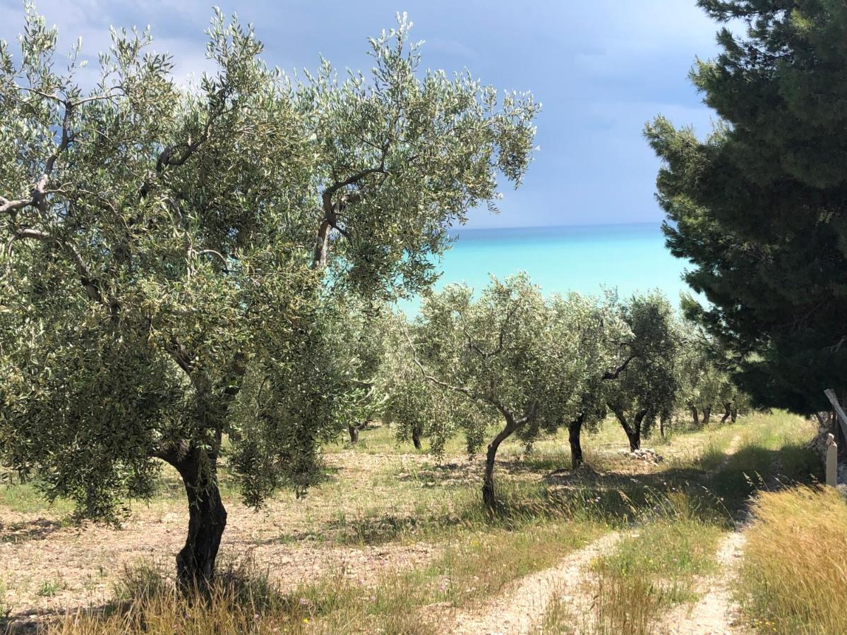 Villa In Gargano - Villa Basso Монте-Сант'Анджело Экстерьер фото